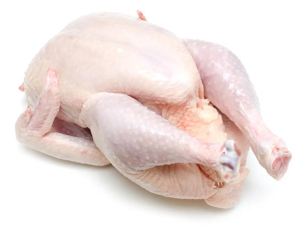 buy frozen chicken wholesale