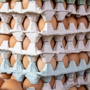 Chicken Eggs