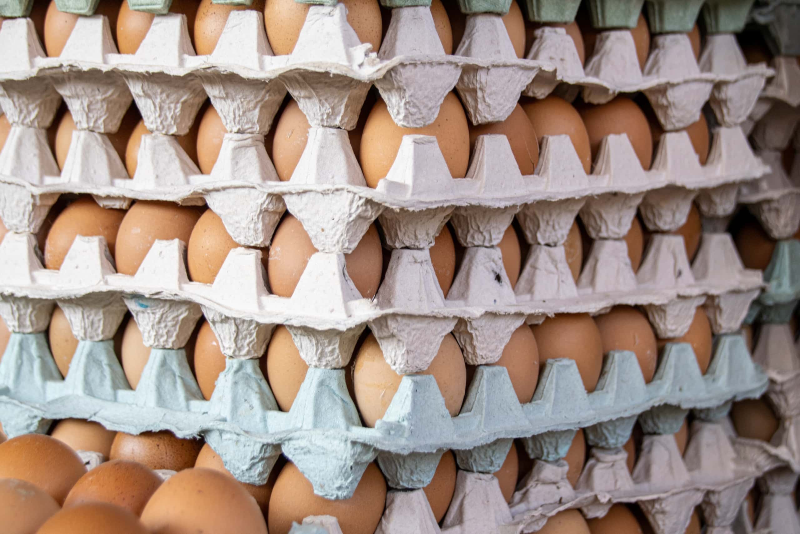 Buy Wholesale Fresh Chicken Eggs
