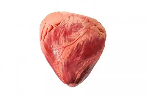 Buy Frozen Beef Heart Wholesale | Halal Certified